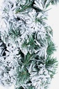4x Stella Nantes Innevata H60