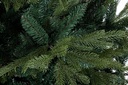 Albero Bernina H270-5171Rami