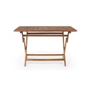 Tavolo da giardino Pieghevole Rettangolare 120x70x h73 cm