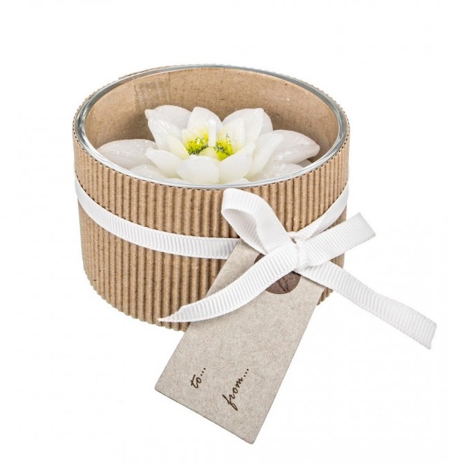 12x Candela Stella Di Natale Bianco C