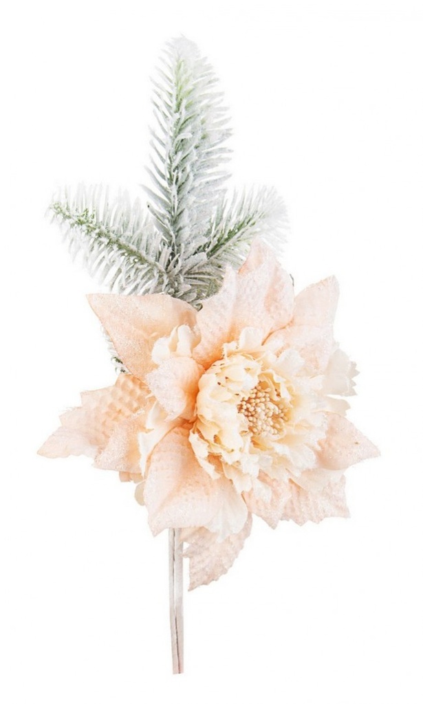 12x Pick Poinsezia Haylie Champagne