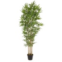 Pianta Decorazione Casa in Bamboo con Vaso 185h cm