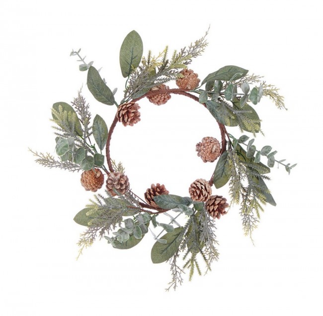 4x Corona Fernie Verde C