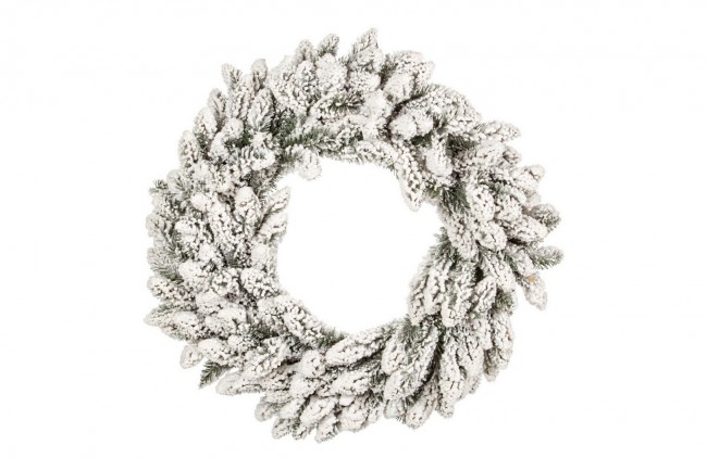 4x Corona Oregon D75