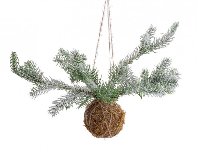 6x Decorazione Sfera Kokedama C