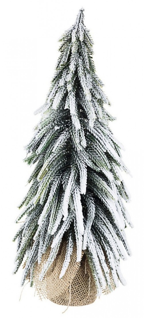 6x Pino Cimone Innevato H43