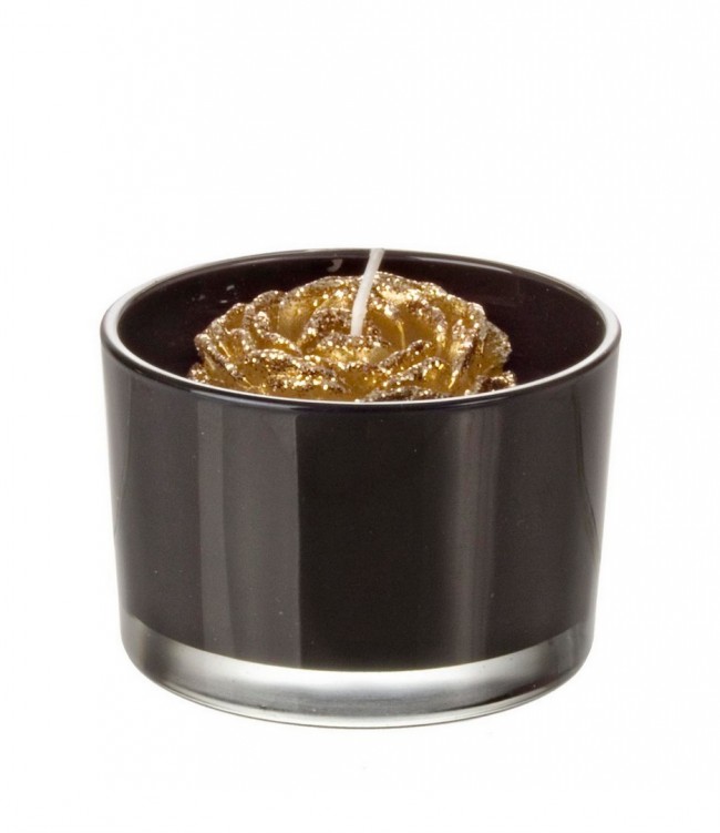 8x Candela Minimalchic C