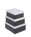 8x Set3 Scatola Glitter Nero