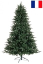 Albero Frejus Fr H240-2949Rami