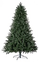 Albero Frejus H400-8819Rami