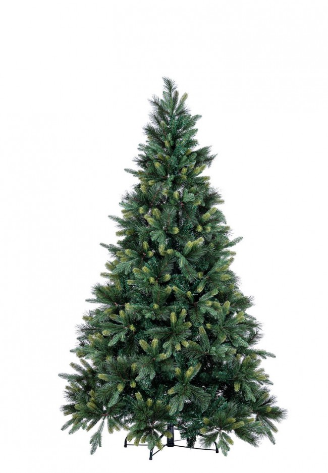 Albero Tauri H270-2376Rami