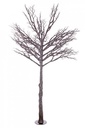 Albero Vienna H230 Nero