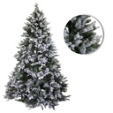 Albero innevato verde con 994 rami - Monte Cristallo, cmø122h180
