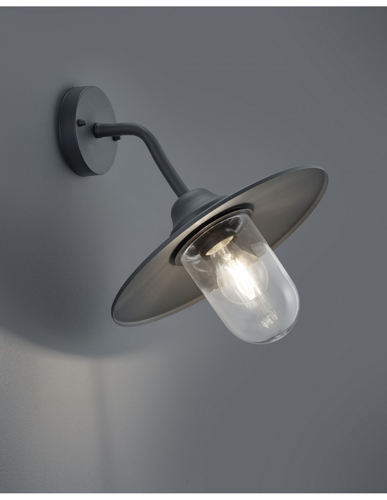 Applique Antracite con Diffusore in Vetro - Lampada da Parete Vintage per Esterni