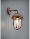 Applique Lanterna Ruggine e Paralume Vetro IP44