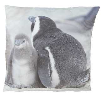 Cuscino pinguini 50x50 cm