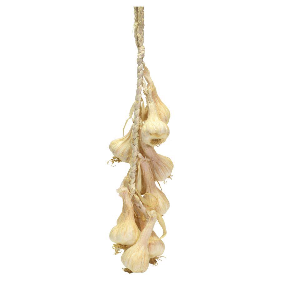 Decorazione verdura artificiale aglio treccia 10 pezzi 15x50x6,5 cm