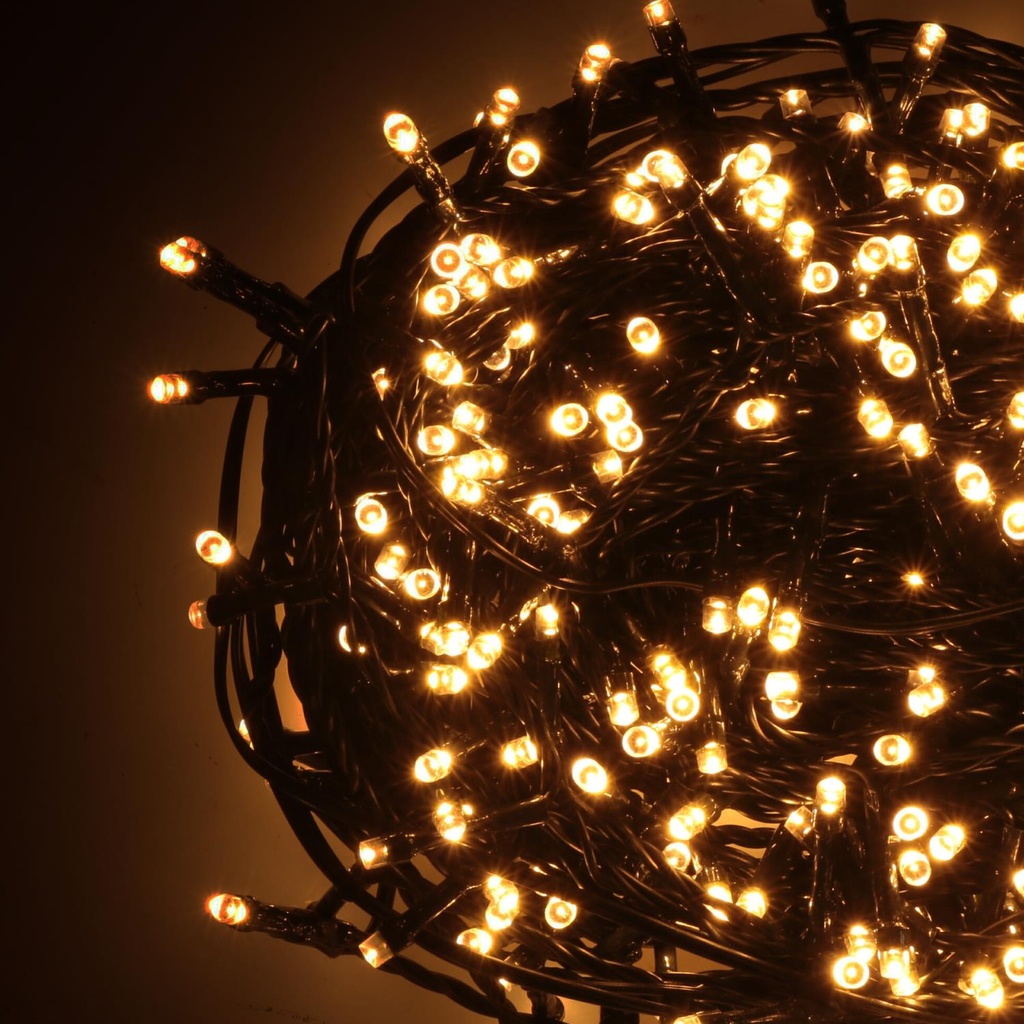 Luce filo 100 led bianco caldo con controller 8m