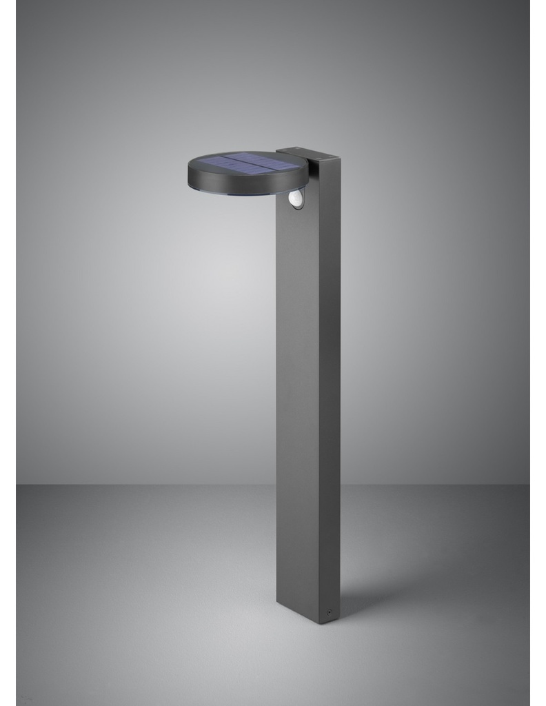 Palo da Esterno LED Antracite con Sensore Movimento