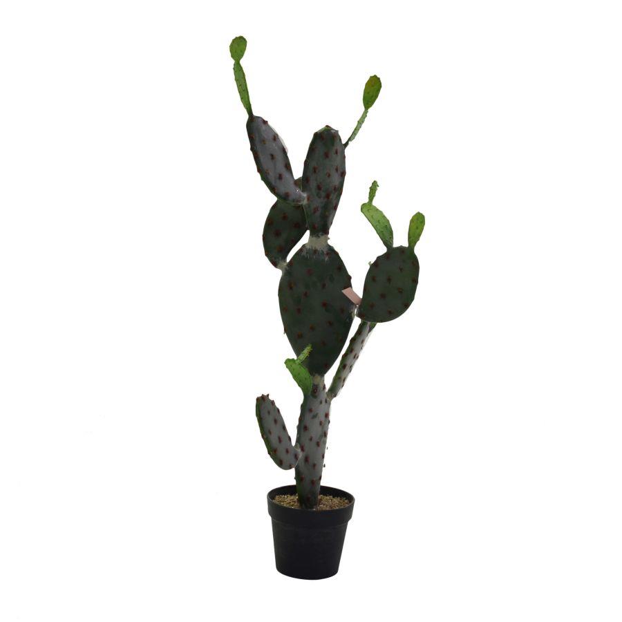 Pianta cactus con vaso nero 45x60x119 cm