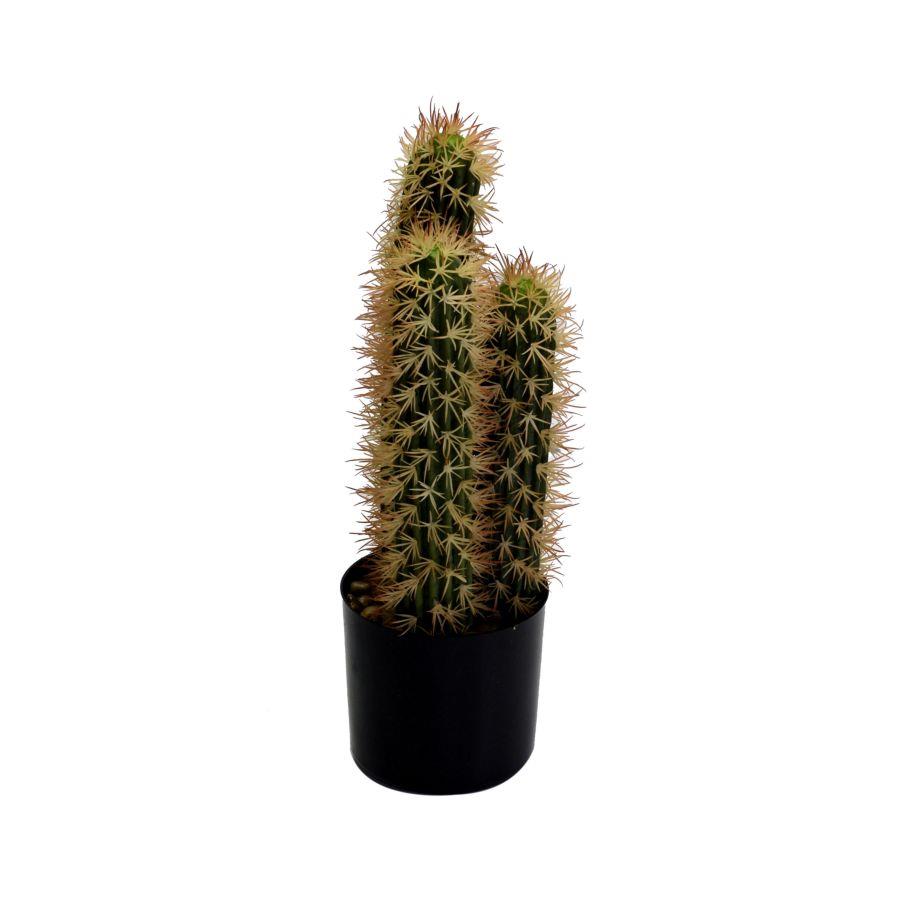 Pianta di cactus con vaso tondo ø13x42 cm