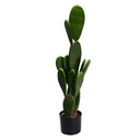 Pianta di cactus con vaso rotondo ø14x84 cm
