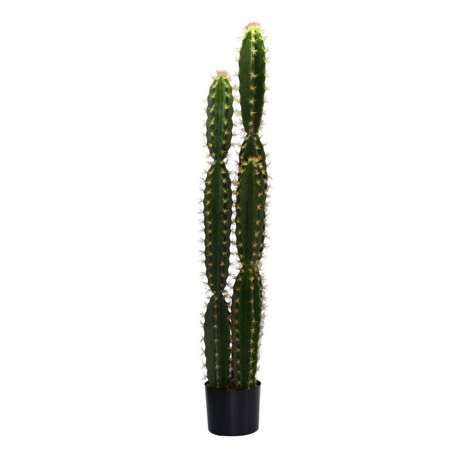Pianta Cactus con vaso tondo - Dimensioni: 18cm diametro x 124cm altezza