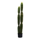 Pianta Cactus con vaso tondo - Dimensioni: 18cm diametro x 124cm altezza