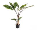 Pianta Decorativa con 10 Foglie Dieffenbachia - Ø100 cm x 134 cm