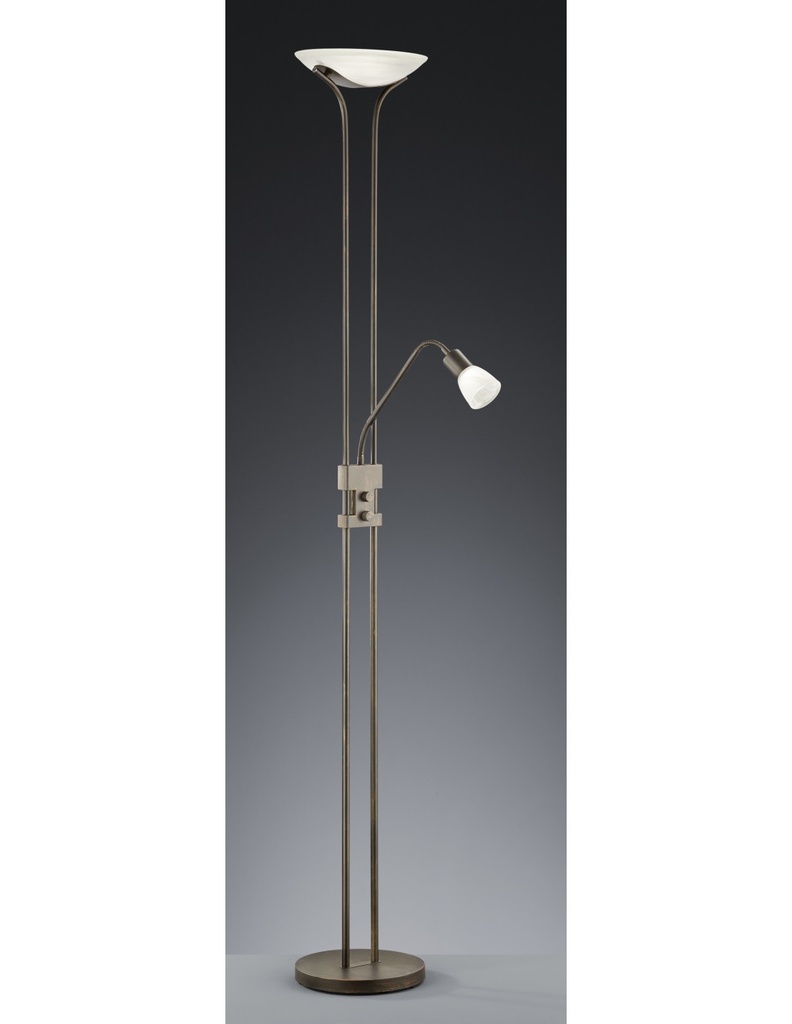 Piantana LED con Luce Spot da Lettura Dimmerabile Ruggine