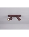 Plafoniera con 2 Faretti Spot Orientabili in Metallo Ruggine