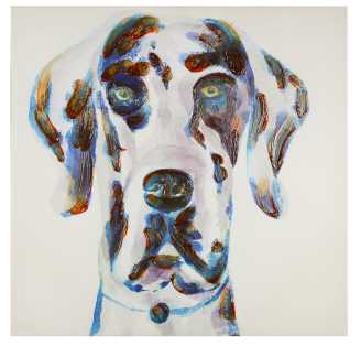 Quadro Cane - 80x80 cm