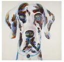 Quadro Cane - 80x80 cm