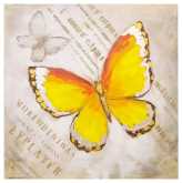 Quadro farfalla arancione