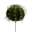 Ramo di cactus verde cmø25h17-30