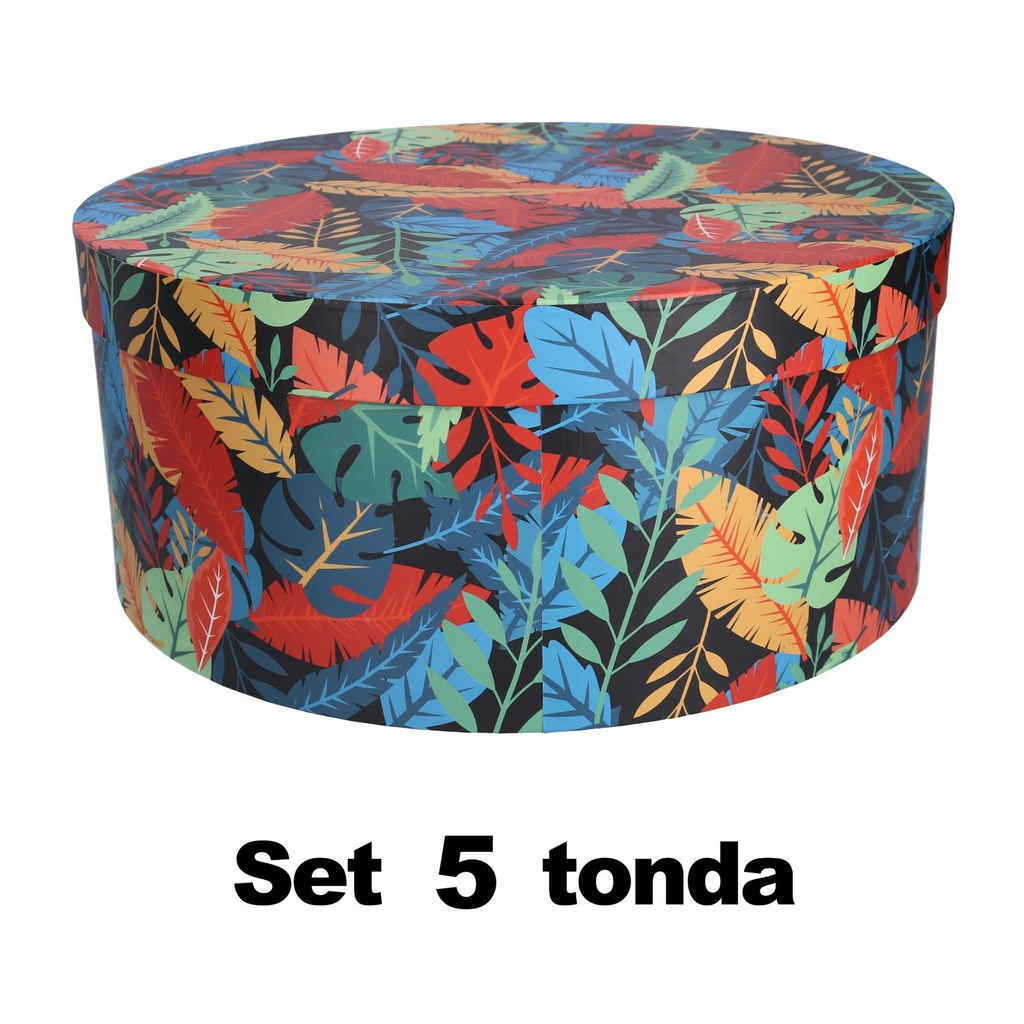 Scatola Cartone 1-5 Piume Multicolor Tondo Ø40,5H17,8