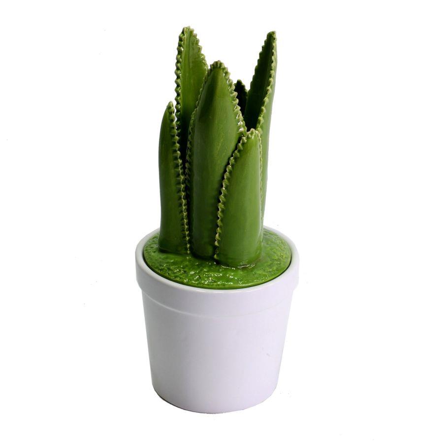 Vaso in ceramica con cactus tondo 11,5x11,5x26,5 cm