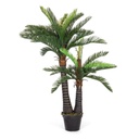 pianta palma c-vaso 36foglie 2tr h150