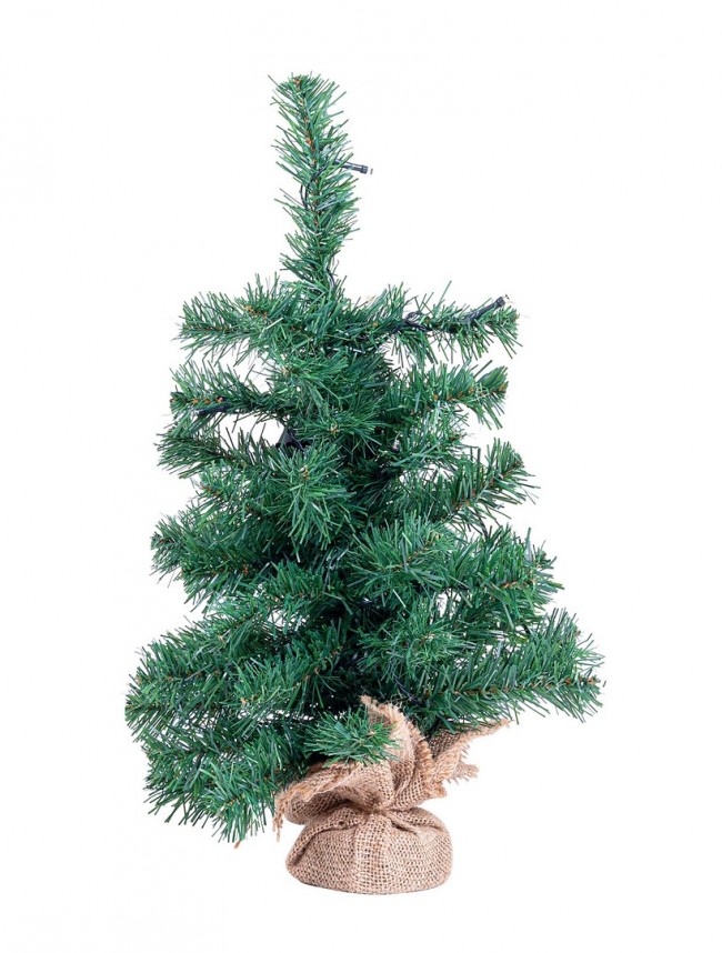 6x Albero Innsbruck H45 - Samnite