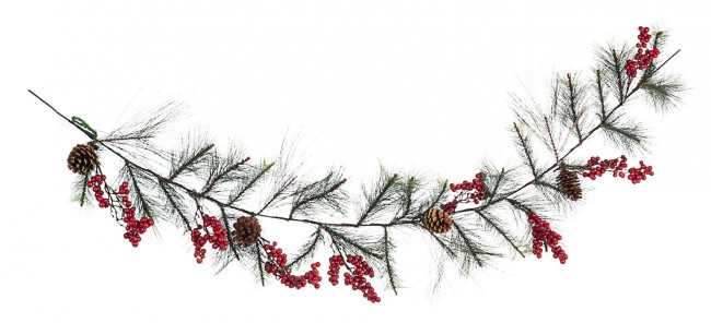 6x Boa Vals Bacche Rosso C - Samnite