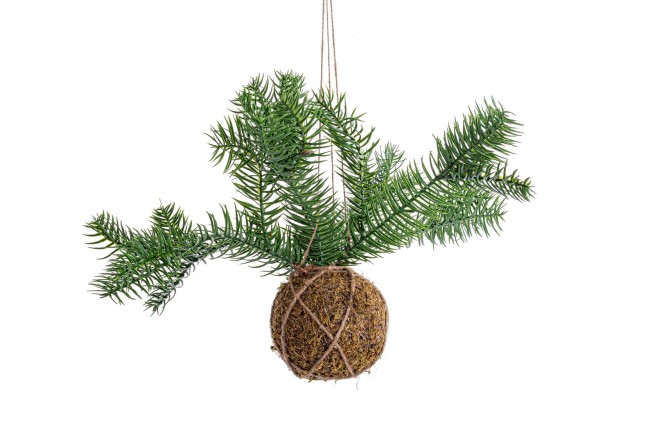 6x Decorazione Sfera Kokedama C - Samnite