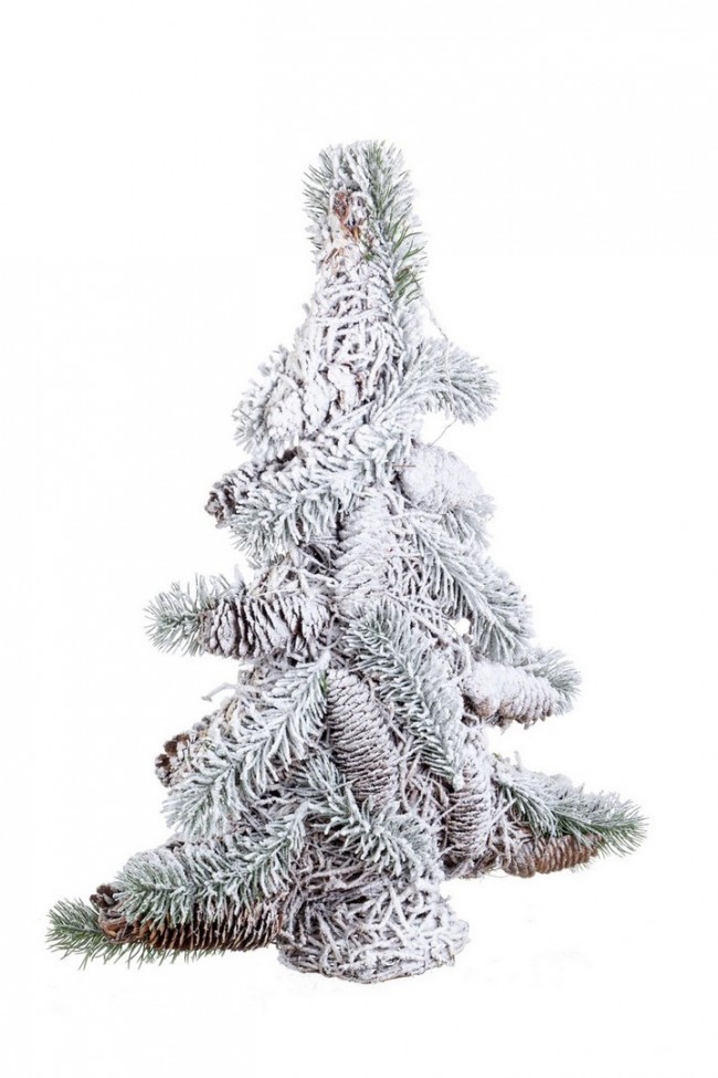 6x Pino Baita H40 - Samnite