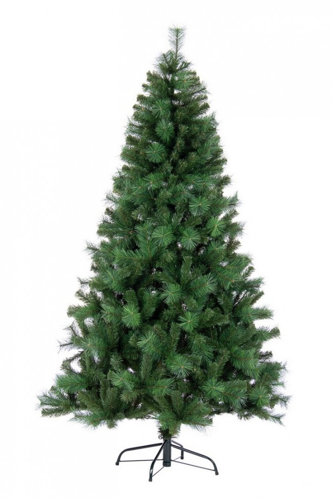 Albero Cermis H270-1746Rami - Samnite