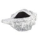 Vaso Conchiglia Magnesia 68x38 cm - Samnite