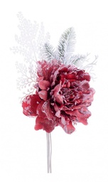 [S-B0939408] 10x Pick Peonia Ginny Rosso Innevato