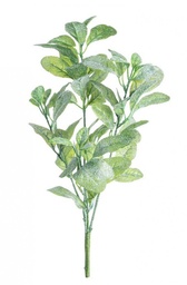 [S-B0929750] 12x Mazzetto Josy Vischio Ghiacciato H46Cm