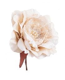 [S-B0939388] 12x Pick Peonia Perle Beige