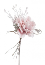 [S-B0935245] 12x Pick Rosa Ahura Rosa C