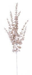 [S-B0938859] 12x Ramo Jada Champagne H75Cm