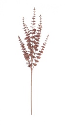 [S-B0971372] 12x Ramo Jada Marrone H75Cm